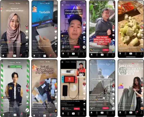 TikTok Videos